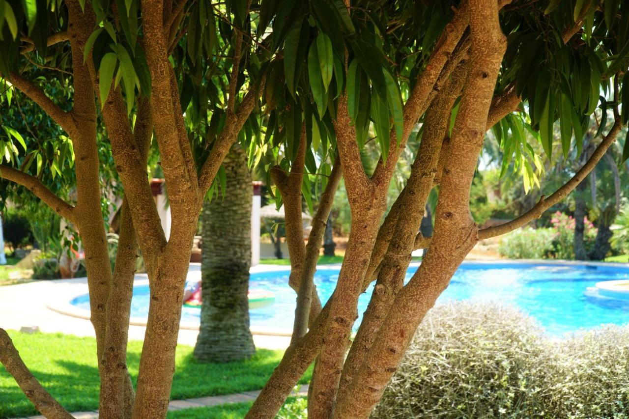 Agroturismo Finca Sa Tanca Cala D´Or المظهر الخارجي الصورة
