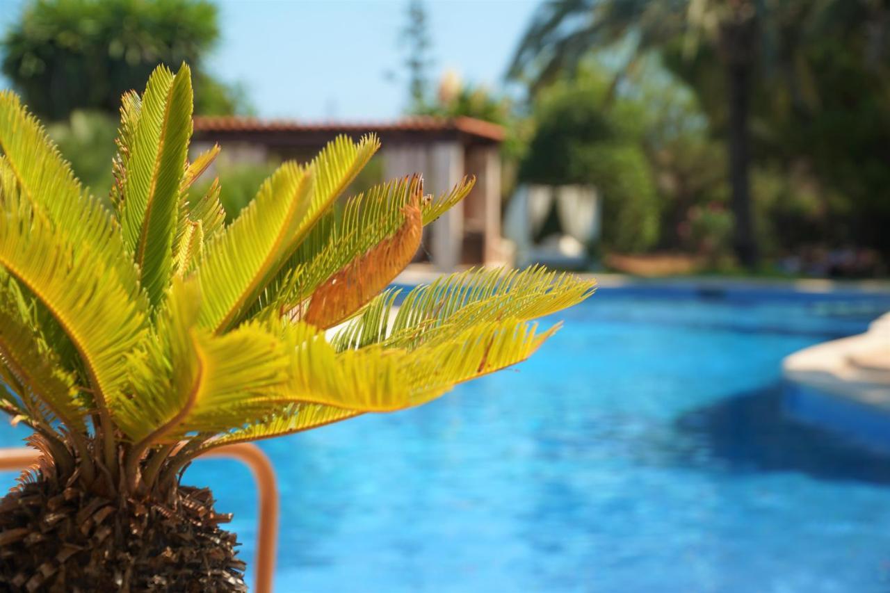 Agroturismo Finca Sa Tanca Cala D´Or المظهر الخارجي الصورة
