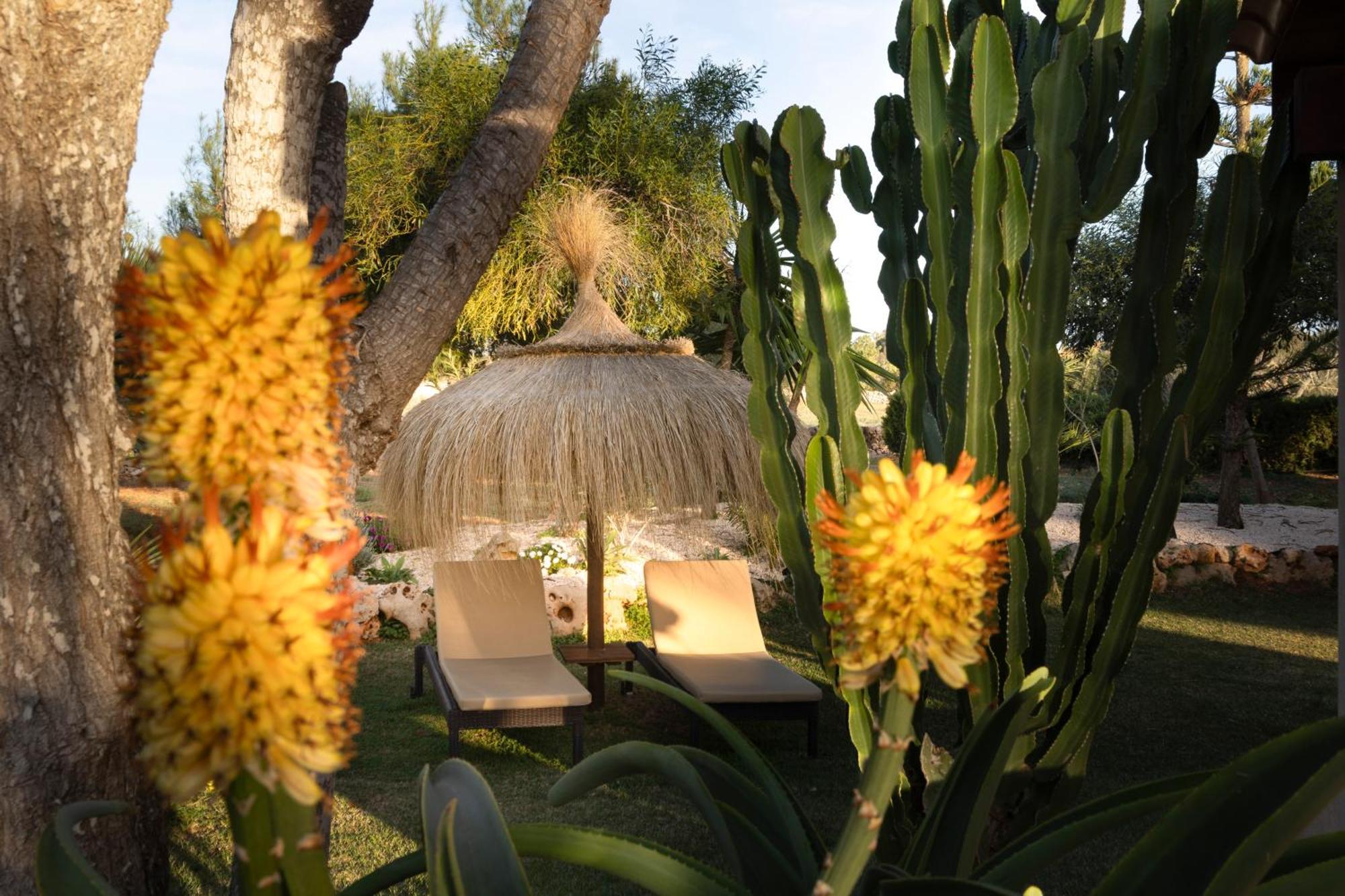 Agroturismo Finca Sa Tanca Cala D´Or المظهر الخارجي الصورة