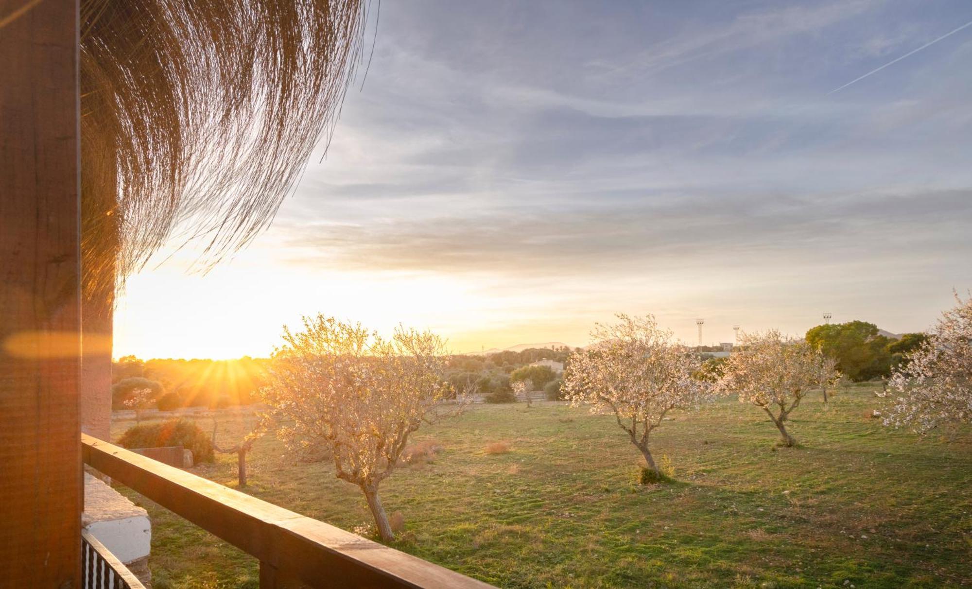 Agroturismo Finca Sa Tanca Cala D´Or المظهر الخارجي الصورة