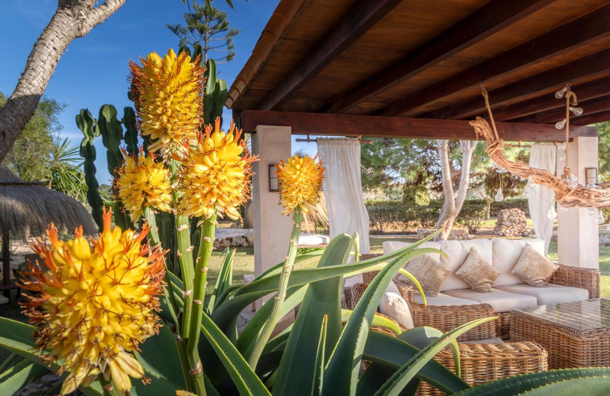 Agroturismo Finca Sa Tanca Cala D´Or المظهر الخارجي الصورة
