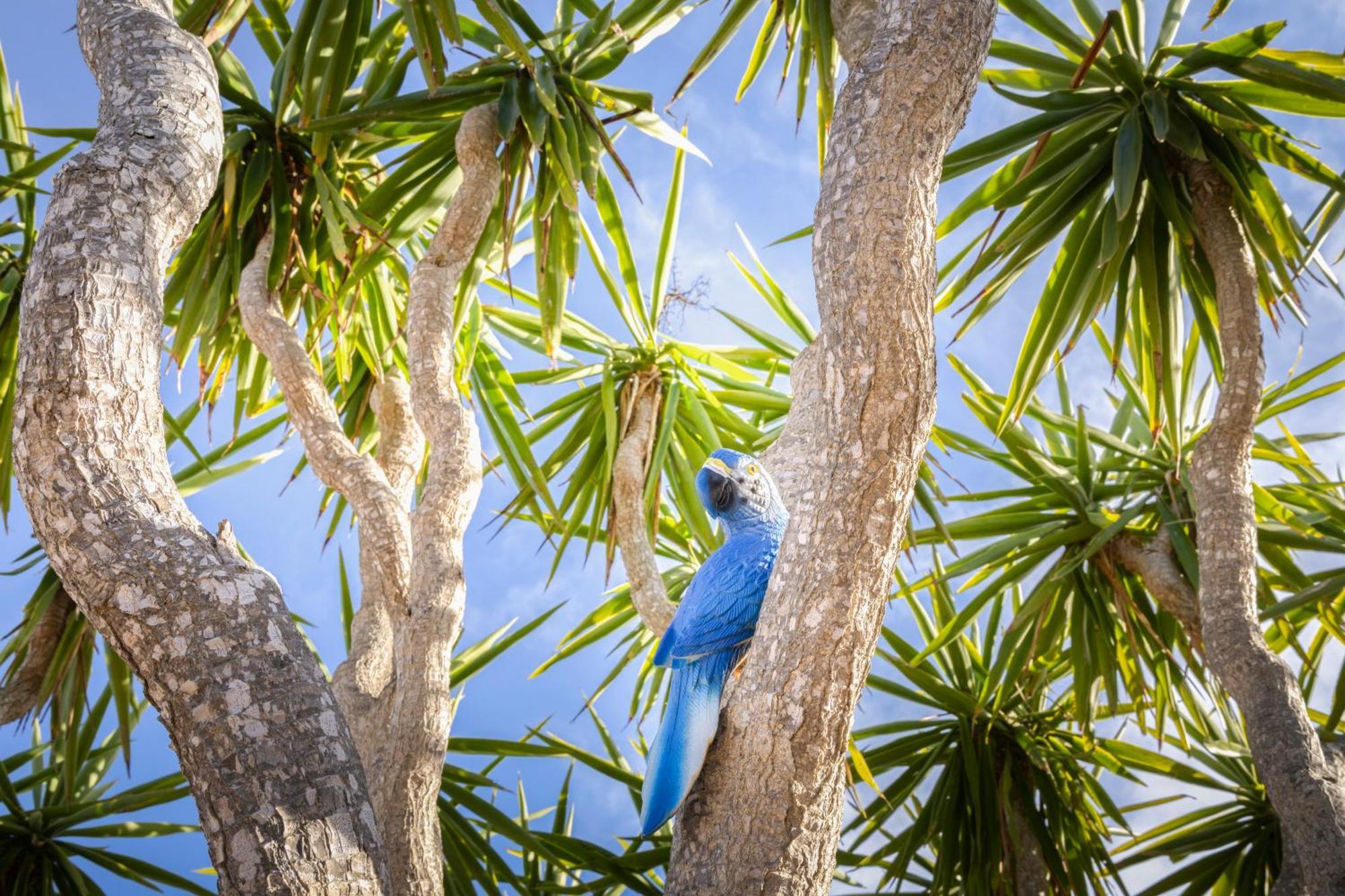 Agroturismo Finca Sa Tanca Cala D´Or المظهر الخارجي الصورة